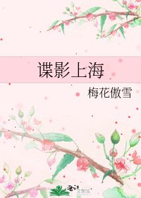 《谍影上海》