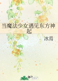 《当魔法少女遇见东方神起》