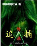 《追捕传说》