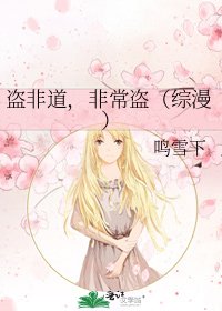 《盗非道,非常盗(综漫)》