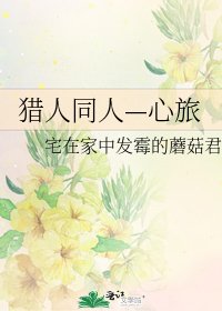 《猎人同人—心旅》