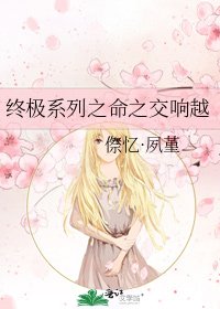 《终极系列之命之交响越》