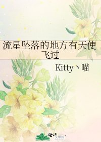 《流星坠落的地方有天使飞过》