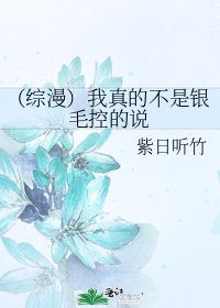 （综漫）我真的不是银毛控的说