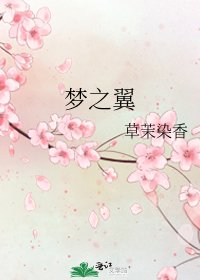 《梦之翼》
