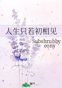 《人生只若初相见》