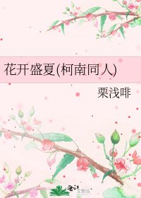 《花开盛夏(柯南同人)》