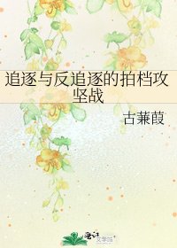 《追逐与反追逐的拍档攻坚战》
