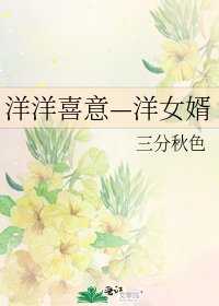 《洋洋喜意—洋女婿》