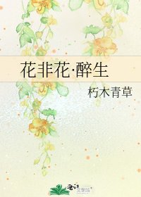 《花非花·醉生》