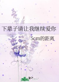 《下辈子请让我继续爱你》