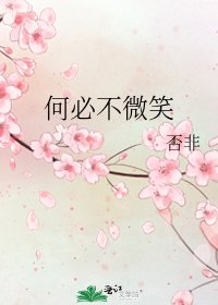 《何必不微笑》