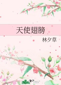 《天使翅膀》