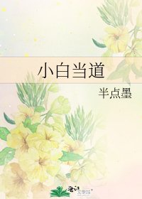 《小白当道》