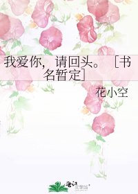 我爱你，请回头。［书名暂定］