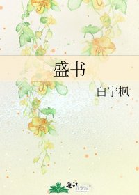 《盛书》