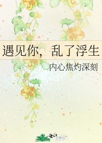 《遇见你,乱了浮生》