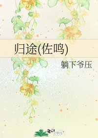 《归途(佐鸣)》
