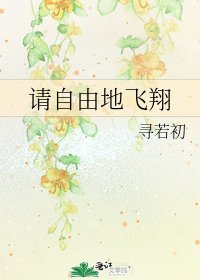《请自由地飞翔》