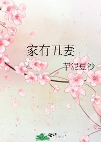 家有丑妻