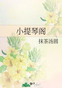 《小提琴阁》