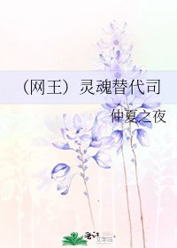 《(网王)灵魂替代司》