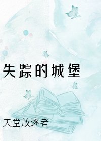 《失踪的城堡》