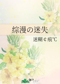 《综漫の迷失》