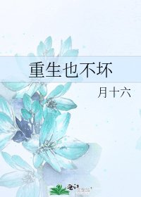 《重生也不怀》