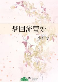 梦回流萤处