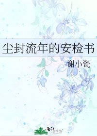 尘封流年的安检书