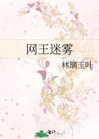网王迷雾
