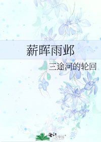 《薪晖雨邺》
