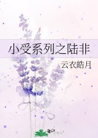 《小受系列之陆非》