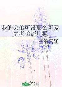《我的弟弟可没那么可爱之老弟流川枫》