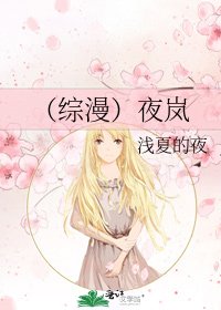 《(综漫)夜岚》