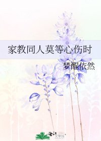 《家教同人莫等心伤时》