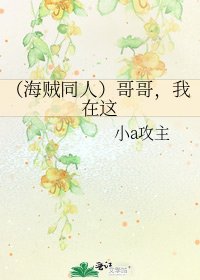 《(海贼同人)哥哥,我在这》