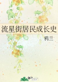 《流星街居民成长史》