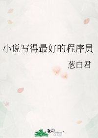 《写得最好的程序员》