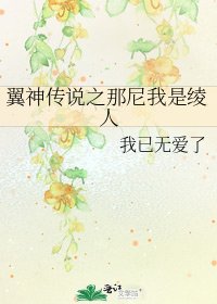 《翼神传说之那尼我是绫人》