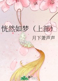 《恍然如梦(上部)》