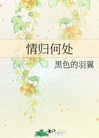 《情归何处》