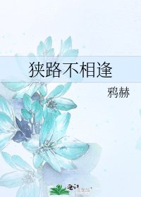《狭路不相逢》