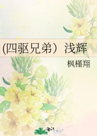 《(四驱兄弟)浅辉》