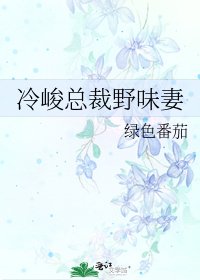 《冷峻总裁野味妻》