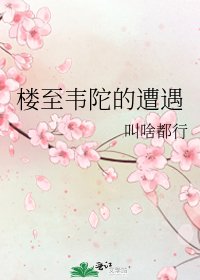 《楼至韦陀的遭遇》