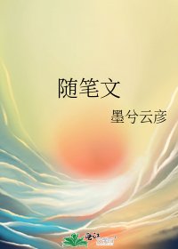 随笔文