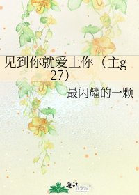 《见到你就爱上你(主g27)》