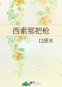 《西索那把枪》